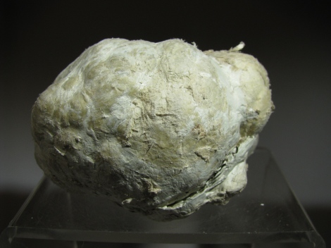 Calcite from Septaria - Valle Staffora Italy